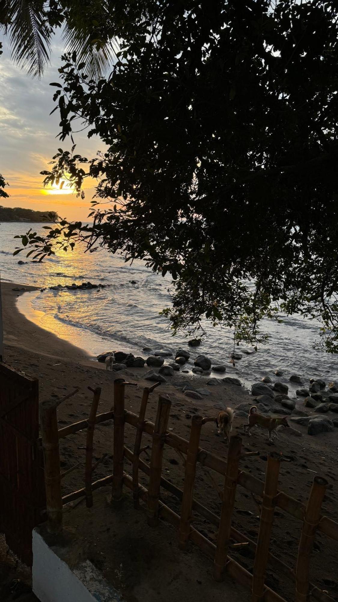 E-Fun Dive Resort Dauin Esterno foto